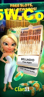 Experiência VIP Clan11